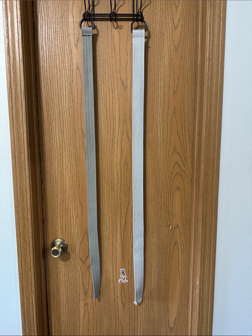 2 Canvas Web Belts
